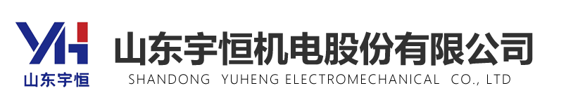 ɽ������lewin-������ʻ���ɷ����޹�˾